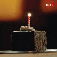 Happy Birthday Kutlama GIF by TRT