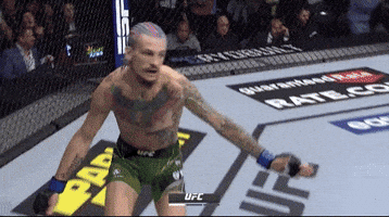 Sport Basketball GIF by UFC