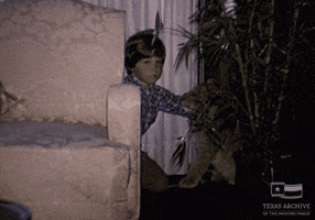 home movie lion GIF by Texas Archive of the Moving Image