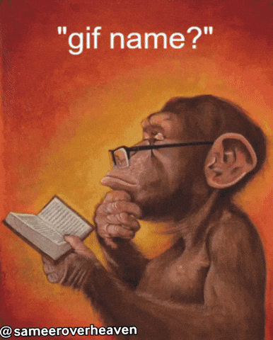 Gif Name GIF