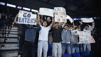 Uc Irvine Celebration GIF by UCI Athletics