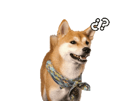 Shiba Inu Love Sticker by Luna Pets