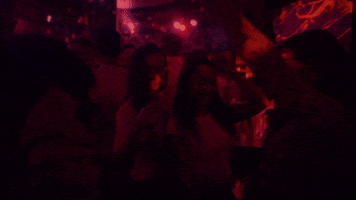 Platzhirsch Bielefeld GIF