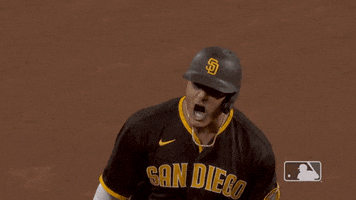 Lets Go Baseball GIF by San Diego Padres