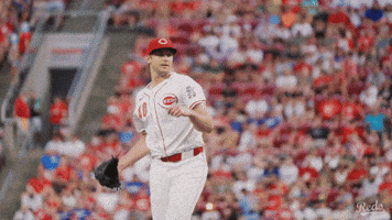 Celebration Yell GIF by Cincinnati Reds