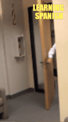 Spanish Learning GIF