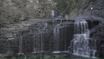 200.gif?cid=fc005b08e5ba06426d6d8f010bb4fa8e4df2c88236ade135&rid=200.gif&ct=g