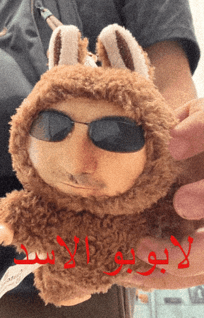 Gift Arabic Meme GIF