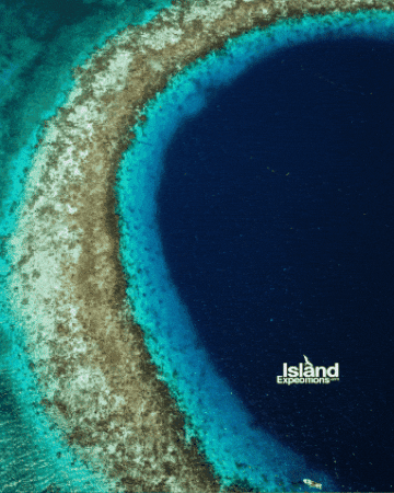 Belize GIF by Island Expeditions