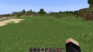 Minecraft GIF