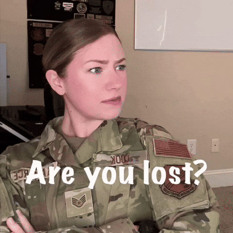 Air Force Army GIF