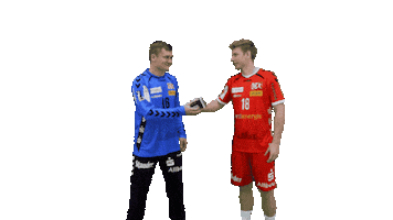 Handball Teammates Sticker by TUSEM Essen