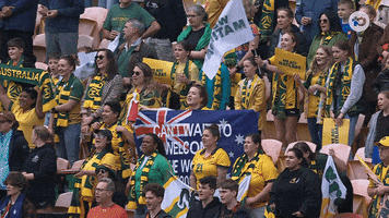 Fans Crowd GIF by Football Australia