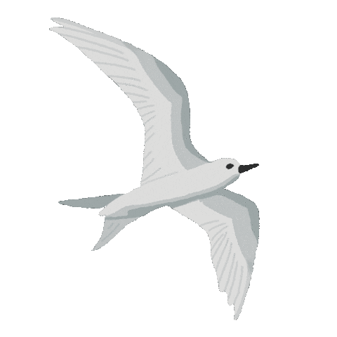 HARE KARE LLC Sticker