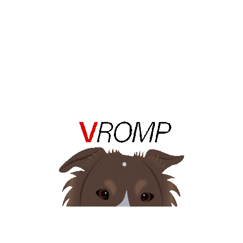 Vet Rehab Sticker by VROMP