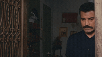 Murat Ünalmış GIF by Show TV