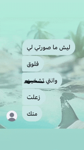 Nimppynimp GIF