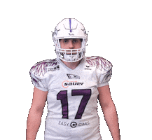 Reutlingen Eagles Sticker