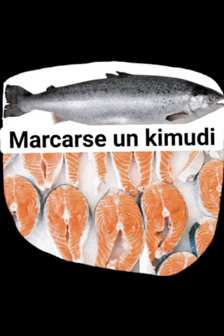 Salmon GIF by Kimudi