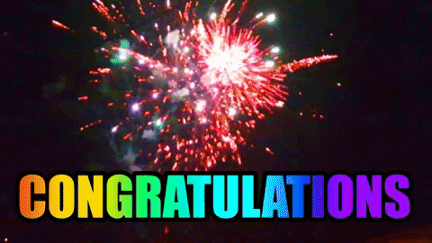 Fireworks Congratulations GIF by KreativCopy - Find & Share on GIPHY