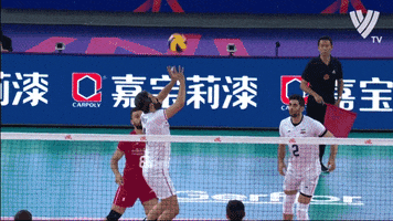 Jump King GIF by Volleyball World