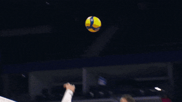 Sport Power GIF by Volleyball World