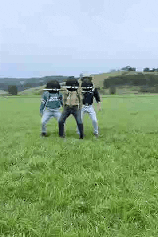 Crow GIF