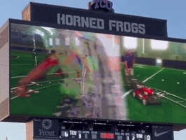 Horned Frogs GIF