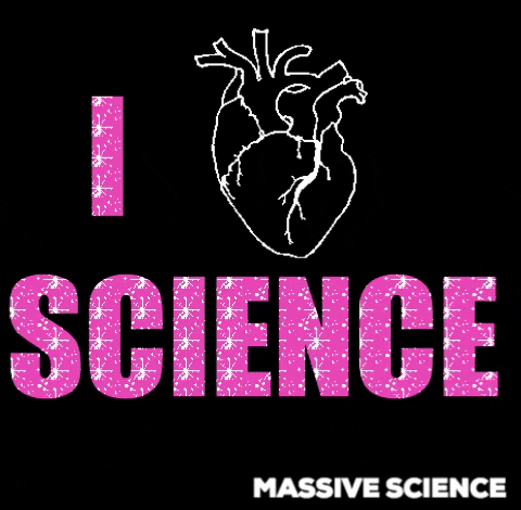 heart beat love GIF by Massive Science