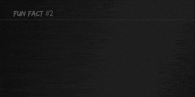 needforseat funfactmaxnomic GIF by MAXNOMIC