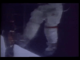whats up vintage GIF by NASA
