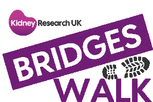 Charity Kidney Sticker by PyneDesign