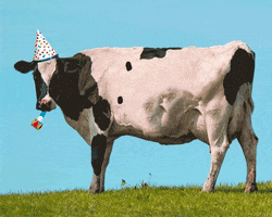 Happy Birthday GIF by Vincent Winter