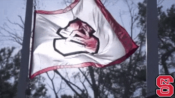 Nc State Flag GIF by NC State Athletics