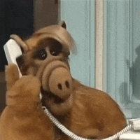 1980S Tv Alf GIF by absurdnoise