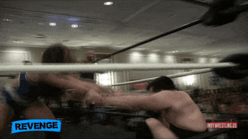 Revenge GIF