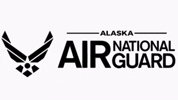 Air Force Army GIF