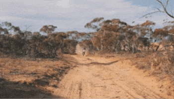 Moto GIF