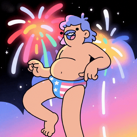 Happy Independence Day GIF by doodles