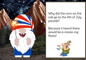 Independence Day Gnome GIF