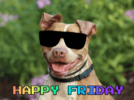 Dog Friday GIF by Nebraska Humane Society