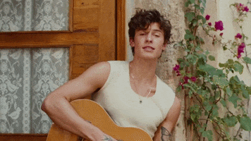 Summer Of Love GIF by Shawn Mendes