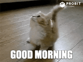Good Morning Love GIF by ProBit Global