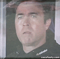 Essendon Bombers GIF