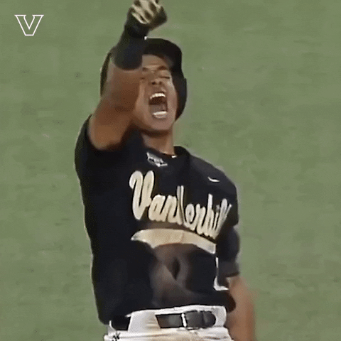 Excited Lets Go GIF by Vanderbilt Athletics