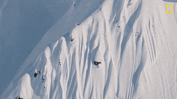 Nat Geo Sport GIF by National Geographic Channel