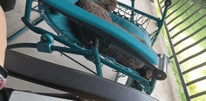 Jardinier Paresseux GIF