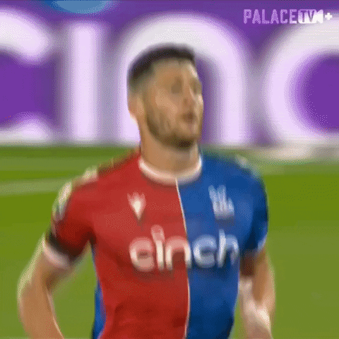 Premier League Run GIF by Crystal Palace Football Club