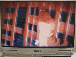 survey  GIF