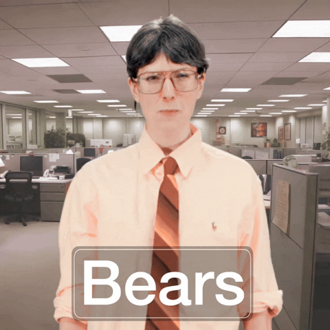 The Office Bears GIF